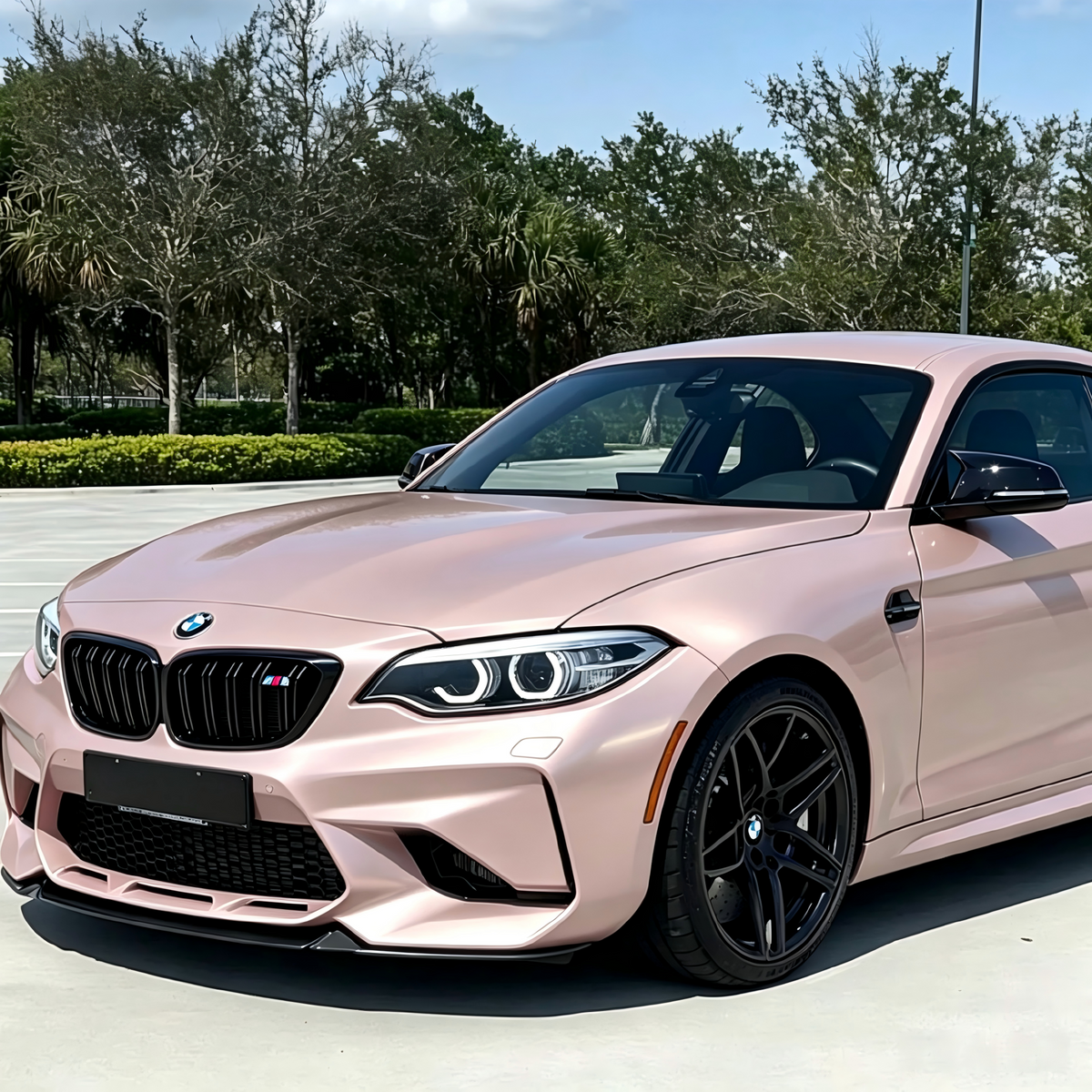 Metallic & Pearl Color PPF - Liquid Metal Shell Pink