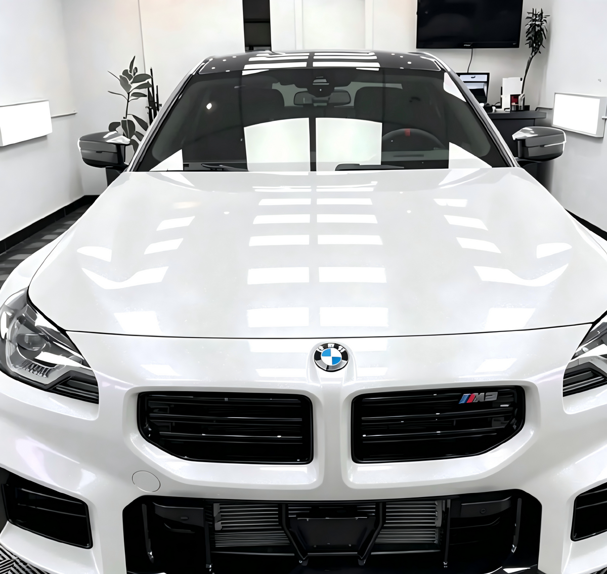 Color PPF - Pearl White